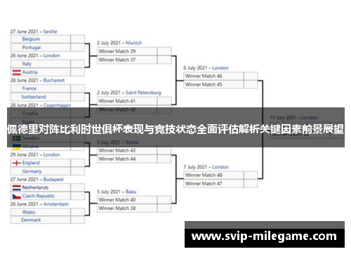 佩德里对阵比利时世俱杯表现与竞技状态全面评估解析关键因素前景展望